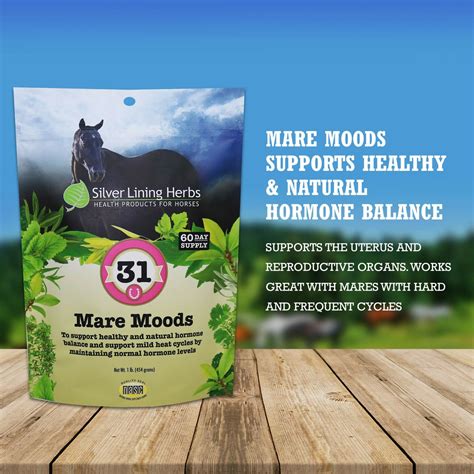 Probiotics for Mare Weight Management: New Insights and Best Practices